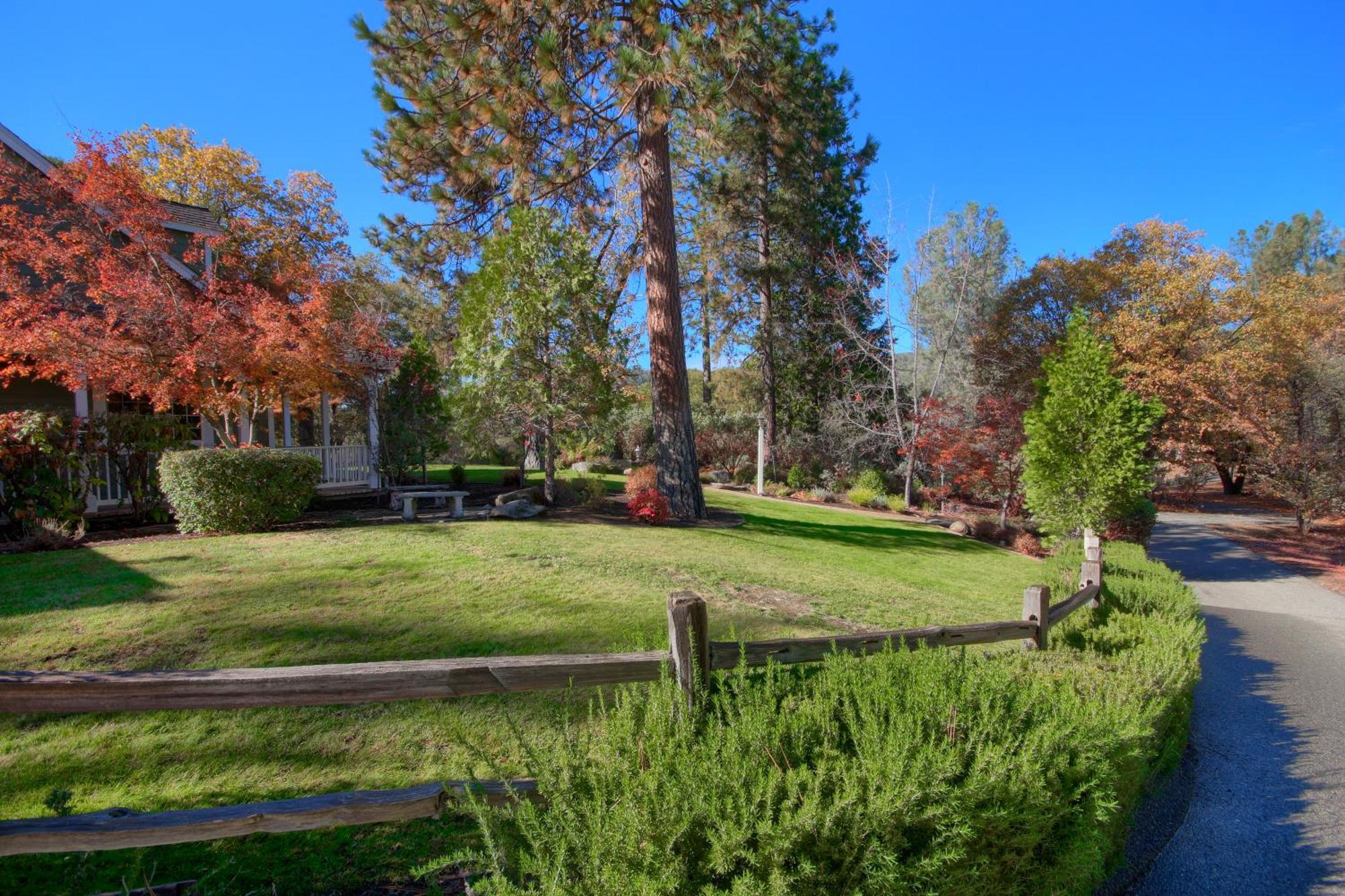 Emerald Escape 50 Acres W/Hot Tub, Game Room Oakhurst Exterior foto